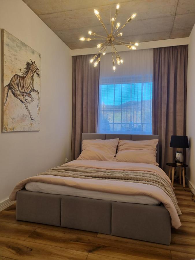 Apartament Wyspianski 萨诺克 外观 照片