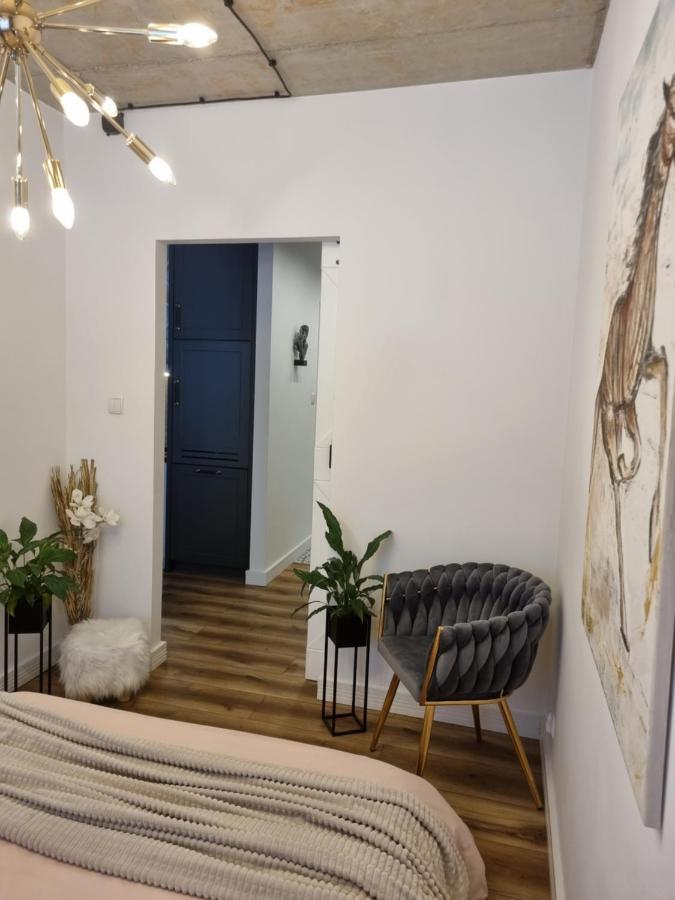 Apartament Wyspianski 萨诺克 外观 照片